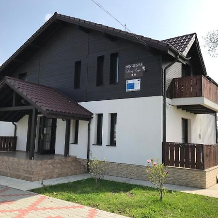 Pensiunea Dany - Crys Zvoristea Luaran gambar